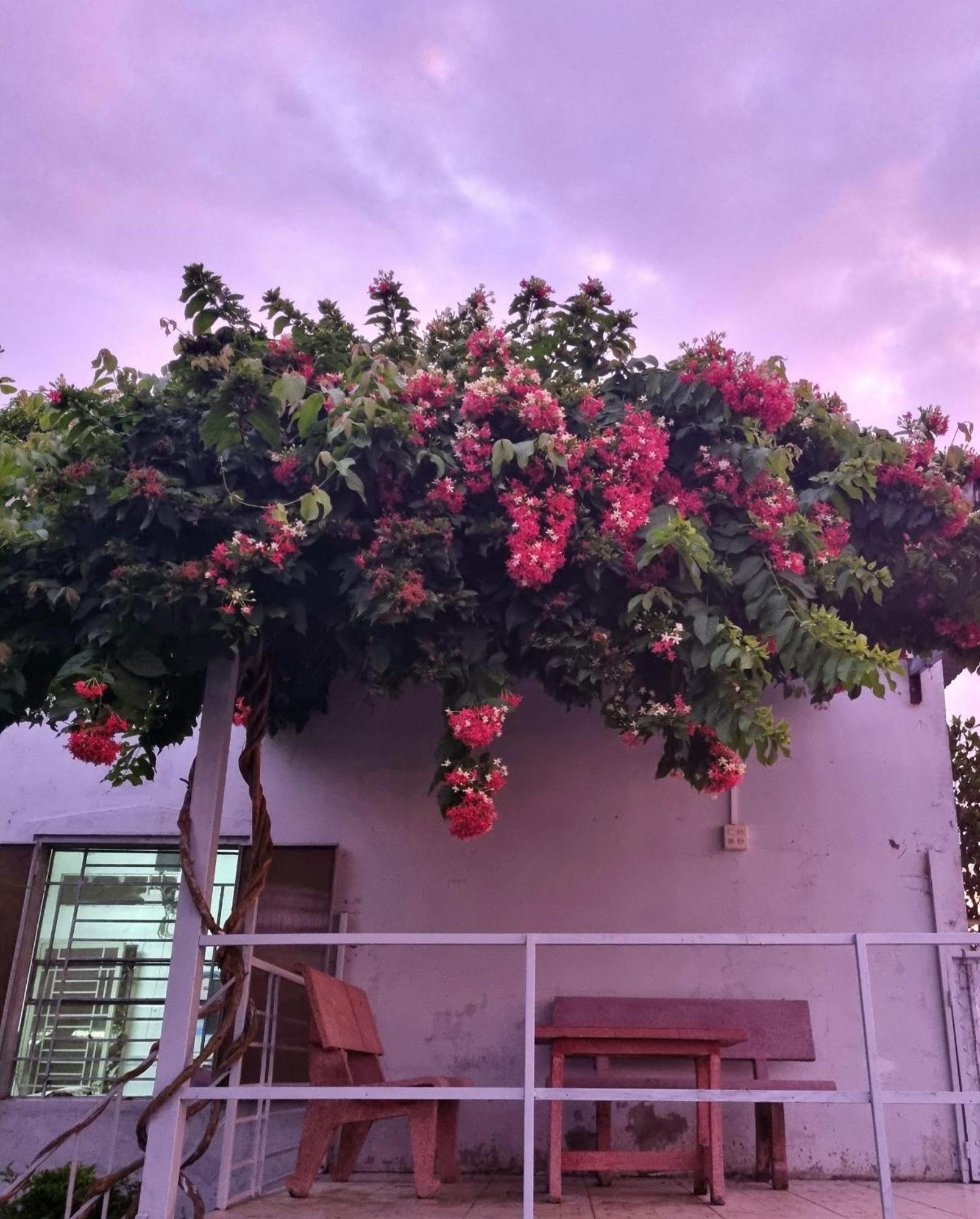 Tran Phu Riverside House เกิ่นเทอ ภายนอก รูปภาพ