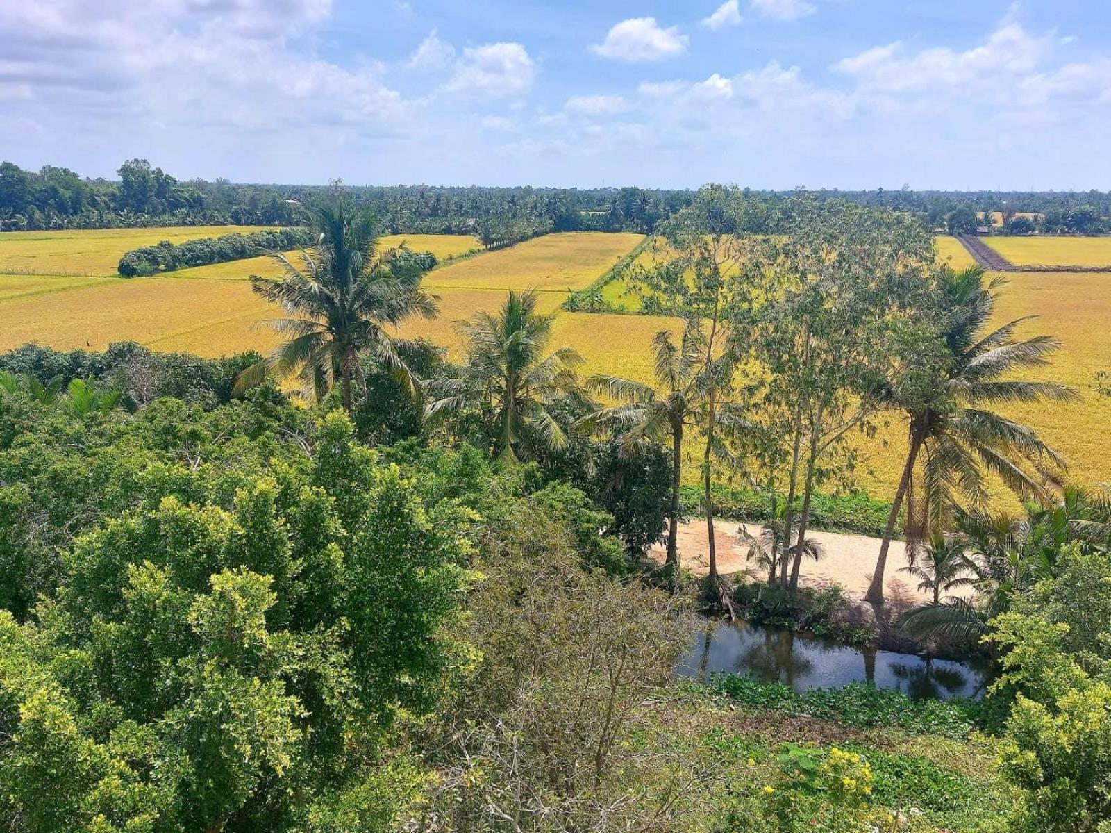 Tran Phu Riverside House เกิ่นเทอ ภายนอก รูปภาพ