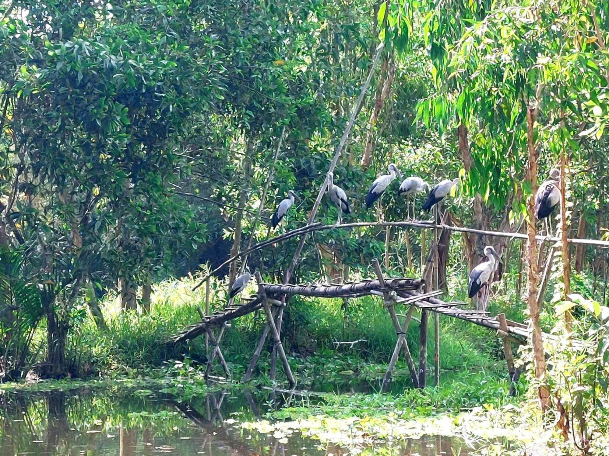 Tran Phu Riverside House เกิ่นเทอ ภายนอก รูปภาพ